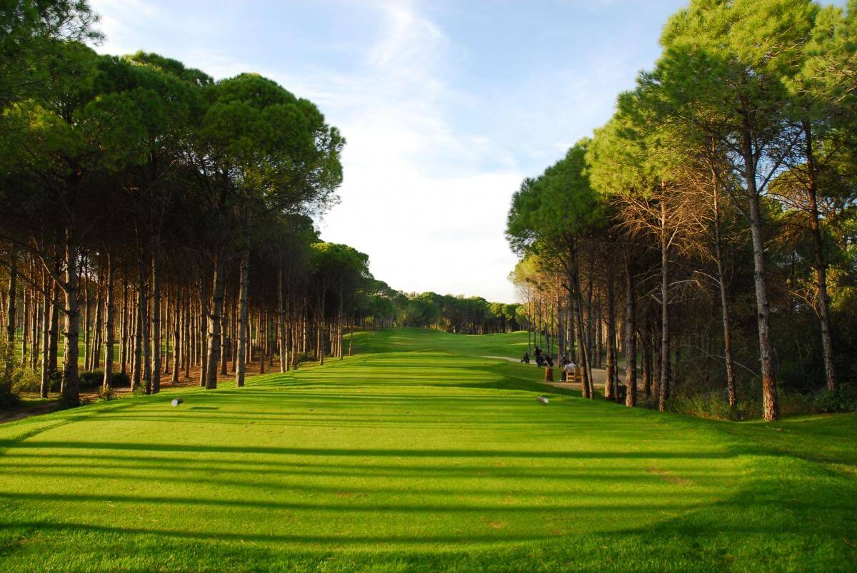 Sueno-Pines-Golf-Course.jpg