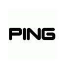 ping.jpg